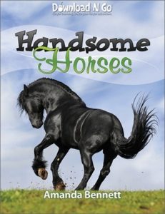 Handsome Horses