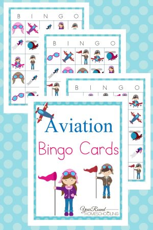 Aviation Bingo Cards