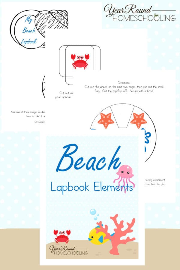 beach lapbook, beach study, lapbook, lapbooking, homeschool, homeschooling, printable