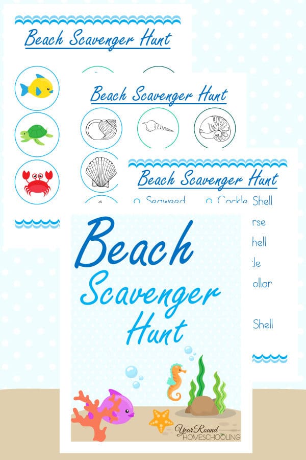 beach scavenger hunt, nature study, beach, scavenger hunt, homeschool, homeschooling, printable