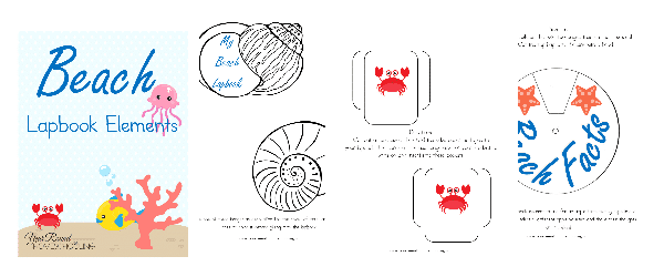 beach lapbook, beach study, lapbook, lapbooking, homeschool, homeschooling, printable