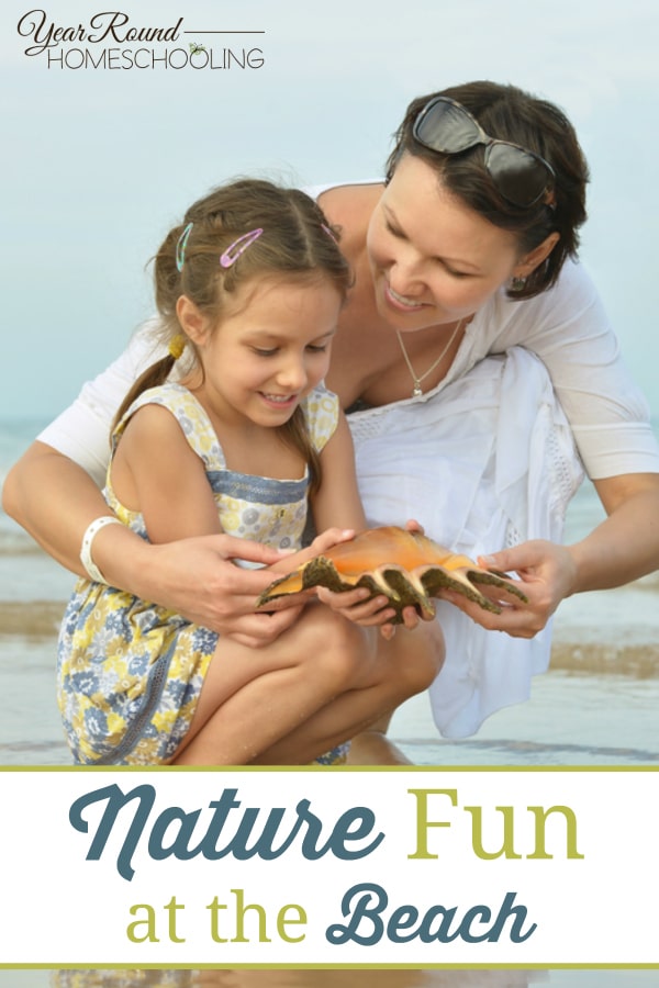 beach nature, nature fun, fun beach nature ideas, nature, beach, homeschool at the beach, homeschooling at the beach, beach homeschooling, homeschool, homeschooling