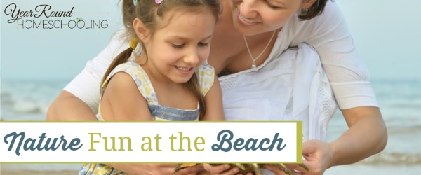 beach nature, nature fun, fun beach nature ideas, nature, beach, homeschool at the beach, homeschooling at the beach, beach homeschooling, homeschool, homeschooling