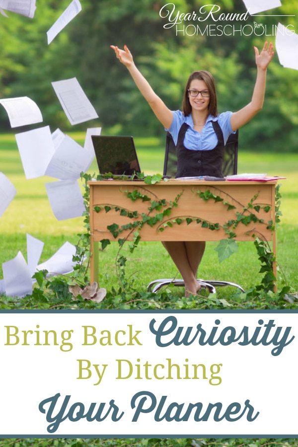 bring back curiosity, ditching your planner, ditch your planner, curiosity