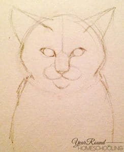 How to Draw a Cat with Graphite Pencils - Year Round Homeschooling