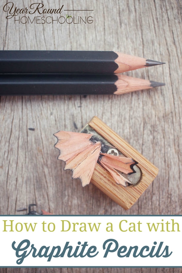 How to Draw a Cat with Graphite Pencils, draw a cat with graphite pencils, draw a cat