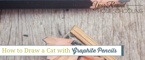 How to Draw a Cat with Graphite Pencils, draw a cat with graphite pencils, draw a cat