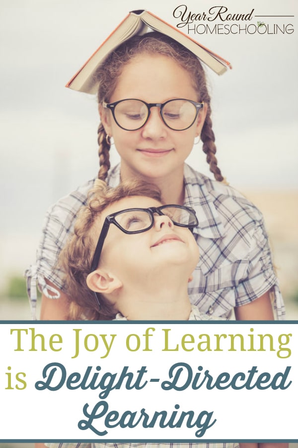 delight-directed learning, joy of learning