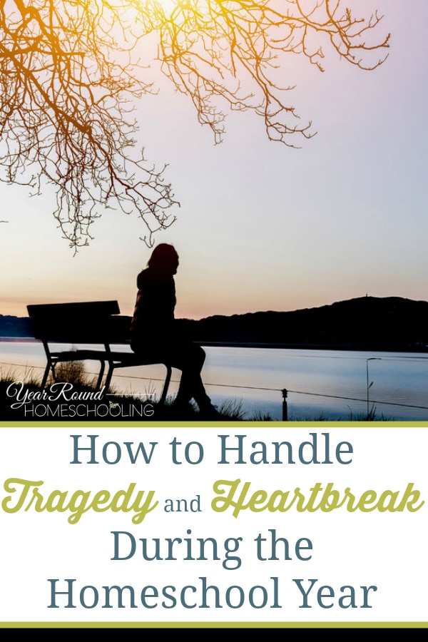 tragedy, heartbreak, homeschool, homeschooling through tragedy, homeschooling through heartbreak