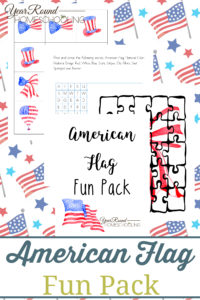 American Flag, United States Flag, Flag Day, 4th of July, Independence Day, Patriotic