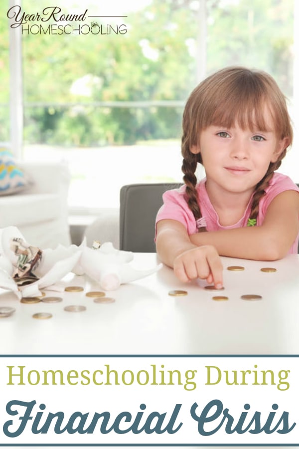 homeschooling during financial crisis, homeschool during financial crisis, homeschooling during a financial crisis, homeschool during a financial crisis