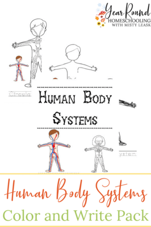 Human Body Systems Color and Write