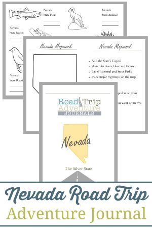 Nevada Road Trip Adventure Journal