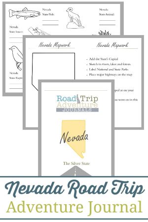 Nevada Road Trip Adventure Journal
