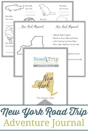 New York Road Trip Adventure Journal