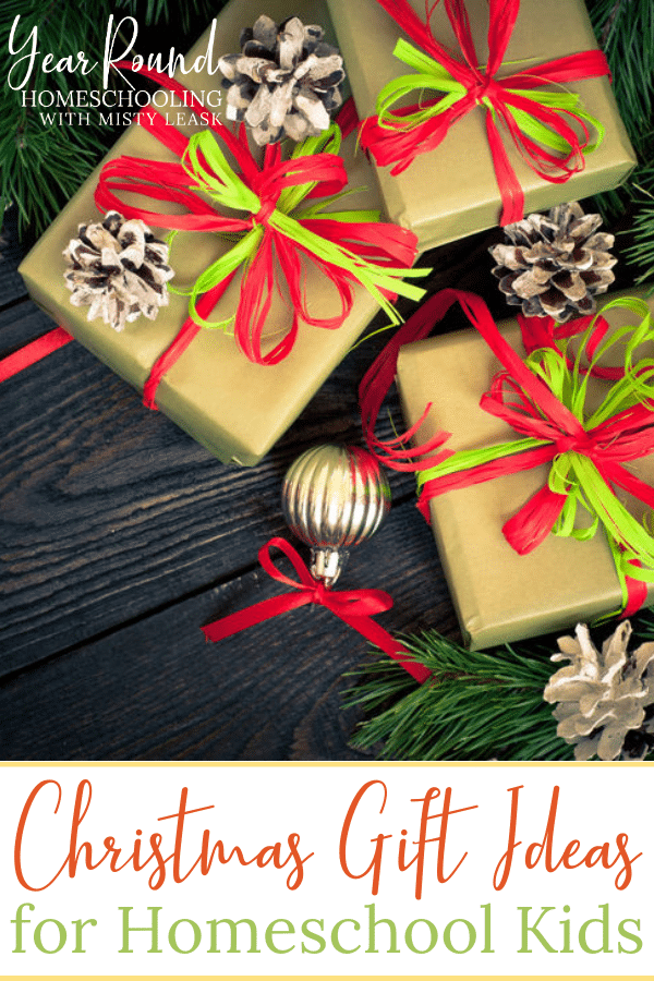 homeschool kids christmas gift ideas, Christmas gift ideas for homeschool kids, christmas gift ideas homeschool, homeschool christmas gift ideas