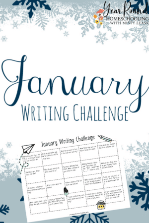 January Writing Challenge