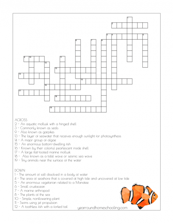 Middle School Summer Learning Collection - Image 4
