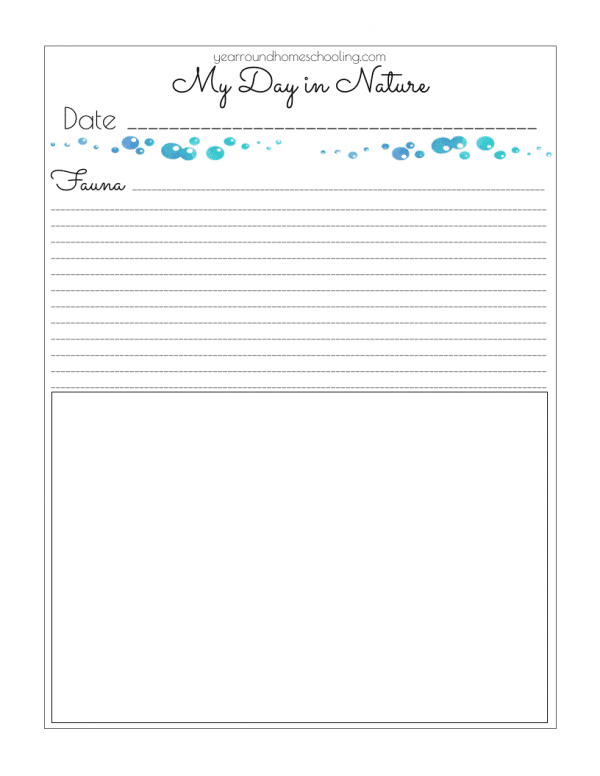 Middle School Summer Learning Collection - Image 7
