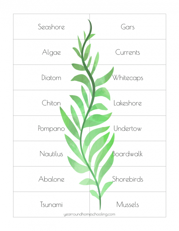 Middle School Summer Learning Collection - Image 8