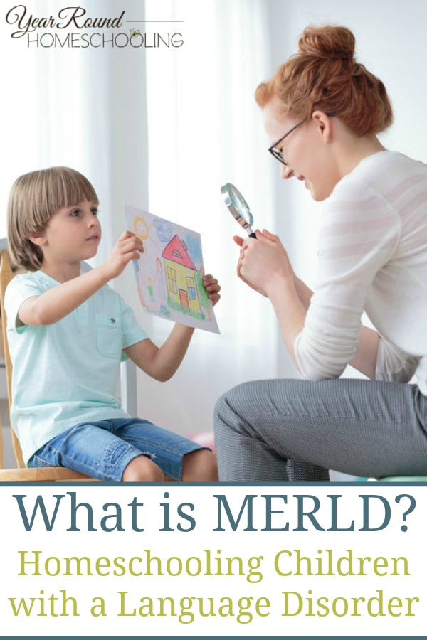 MERLD, language disorder, special needs, homeschooling special needs, special needs homeschool, MERLD homeschool, homeschooling MERLD