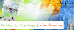 year round nature journaling ideas, nature journaling ideas, nature journal ideas, nature journal