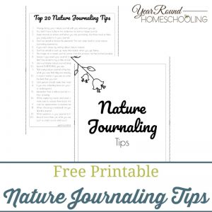 Nature Journaling Tips