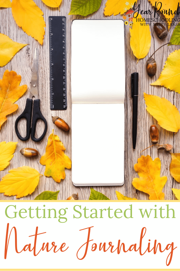 getting started with nature journaling, getting started nature journaling, start nature journaling, how to get started with nature journaling, nature journaling