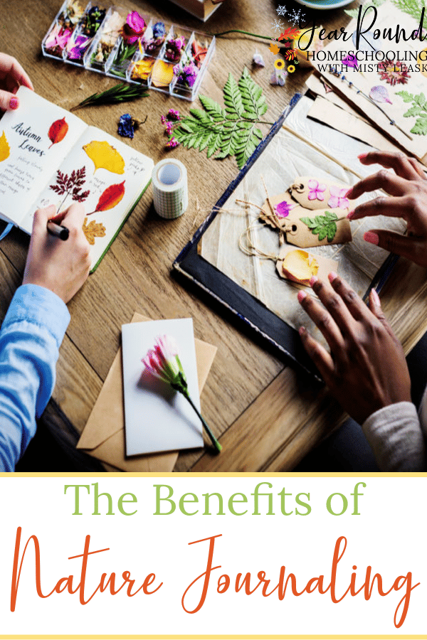 benefits of nature journaling, benefits nature journaling, nature journaling benefits, nature journaling