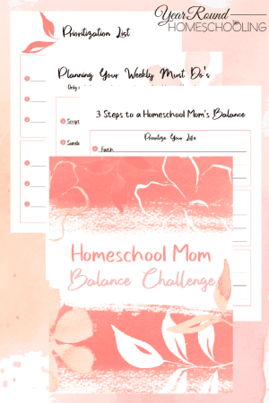 Homeschool Mom Balance Challenge Pack