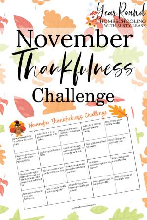 November Thankfulness Challenge Calendar