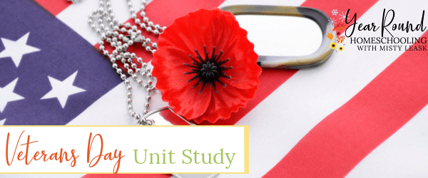 veterans day unit study, veterans day unit, veterans day study, unit study veterans day, unit veterans day, study veterans day