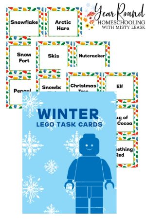 Winter Lego Task Cards Pack