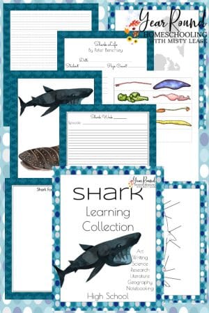 High School Shark Learning Collection