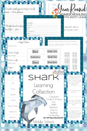 Middle School Shark Learning Collection