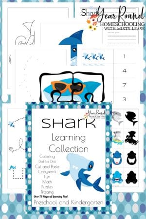 1st-2nd Shark Learning Collection