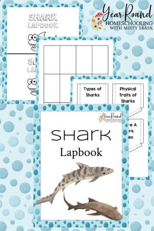 Shark Lapbook Pack