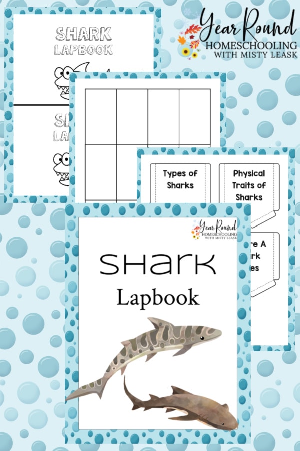 shark lapbook, lapbook shark