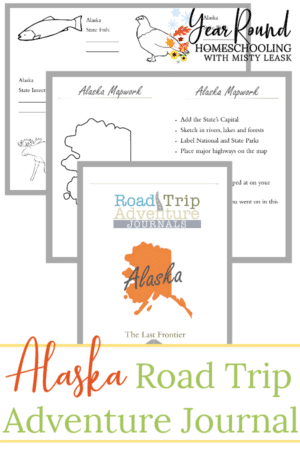 Alaska Road Trip Adventure Journal