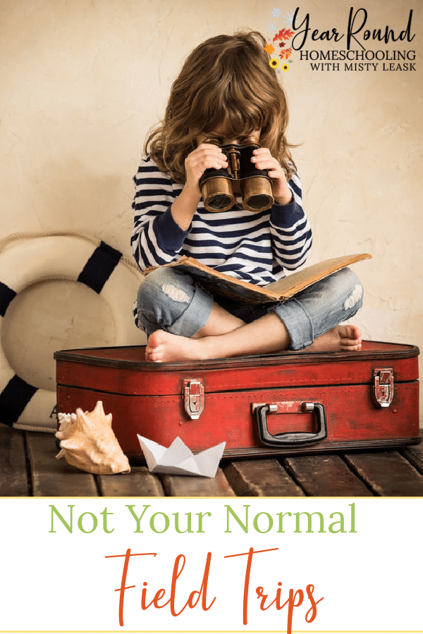 field trips, not your normal field trips, homeschool field trips, field trip ideas