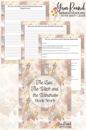 The Lion, the Witch and the Wardrobe Book Study Pack