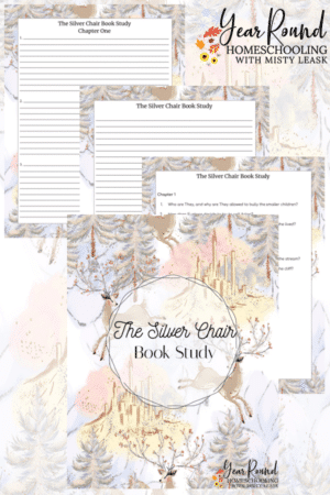 The Silver Chair Book Study Pack