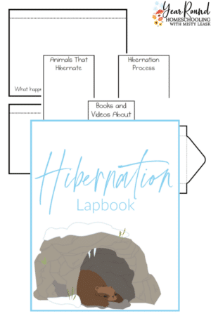 Hibernation Lapbook Pack