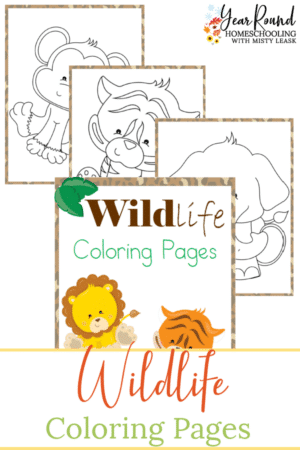 Wildlife Coloring Pages