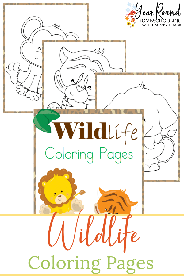 wildlife coloring pages, wildlife color, wildlife coloring