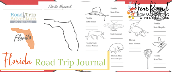 florida road trip journal, florida journal, journal florida, road trip journal florida