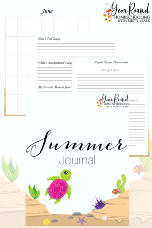 Printable Summer Journal