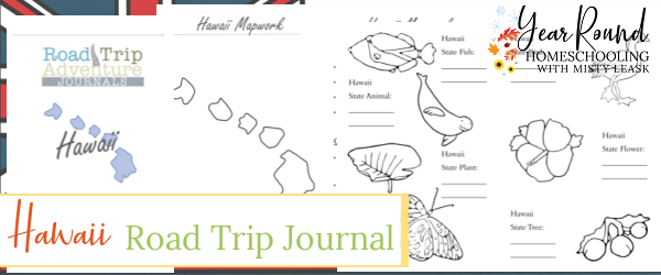 hawaii road trip, hawaii road trip journal, hawaii road trip adventure journal