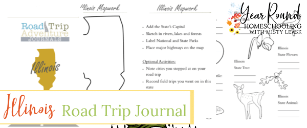 illinois road trip journal, illinois road trip, road trip journal illinois