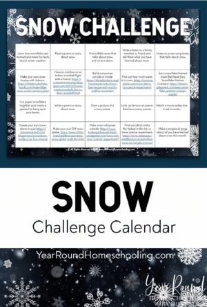 Printable Snow Challenge Calendar